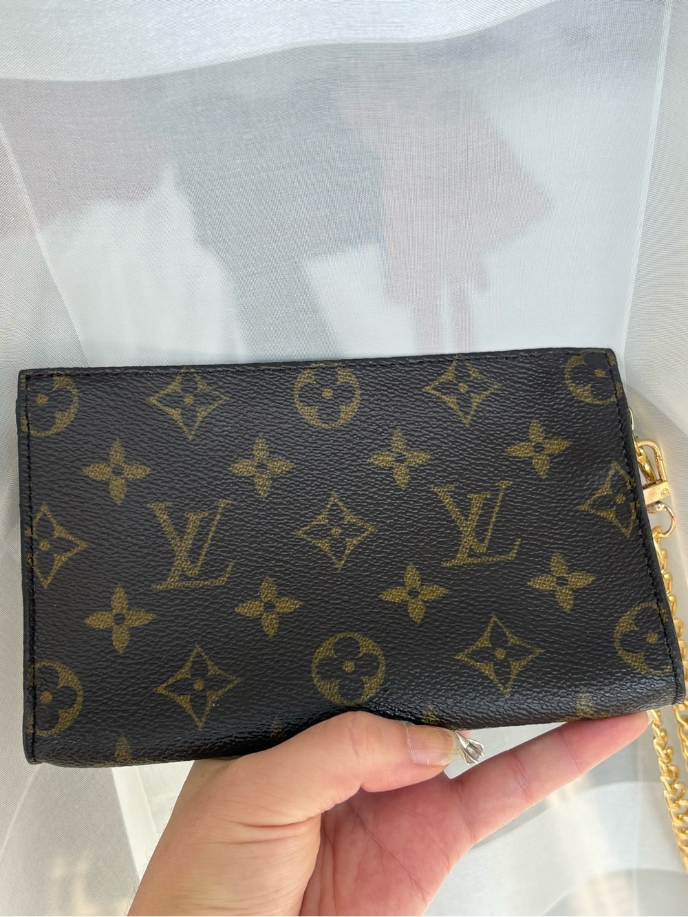 Auth LOUIS VUITTON Monogram Bucket PM Accessory Pouch - Picture 11 of 13